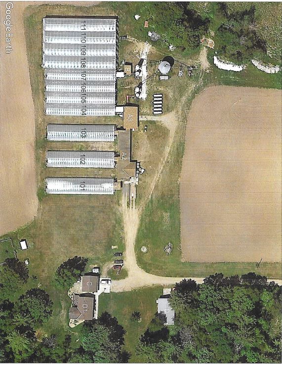 The Californer Wellestablished commercial hydroponic greenhouse for