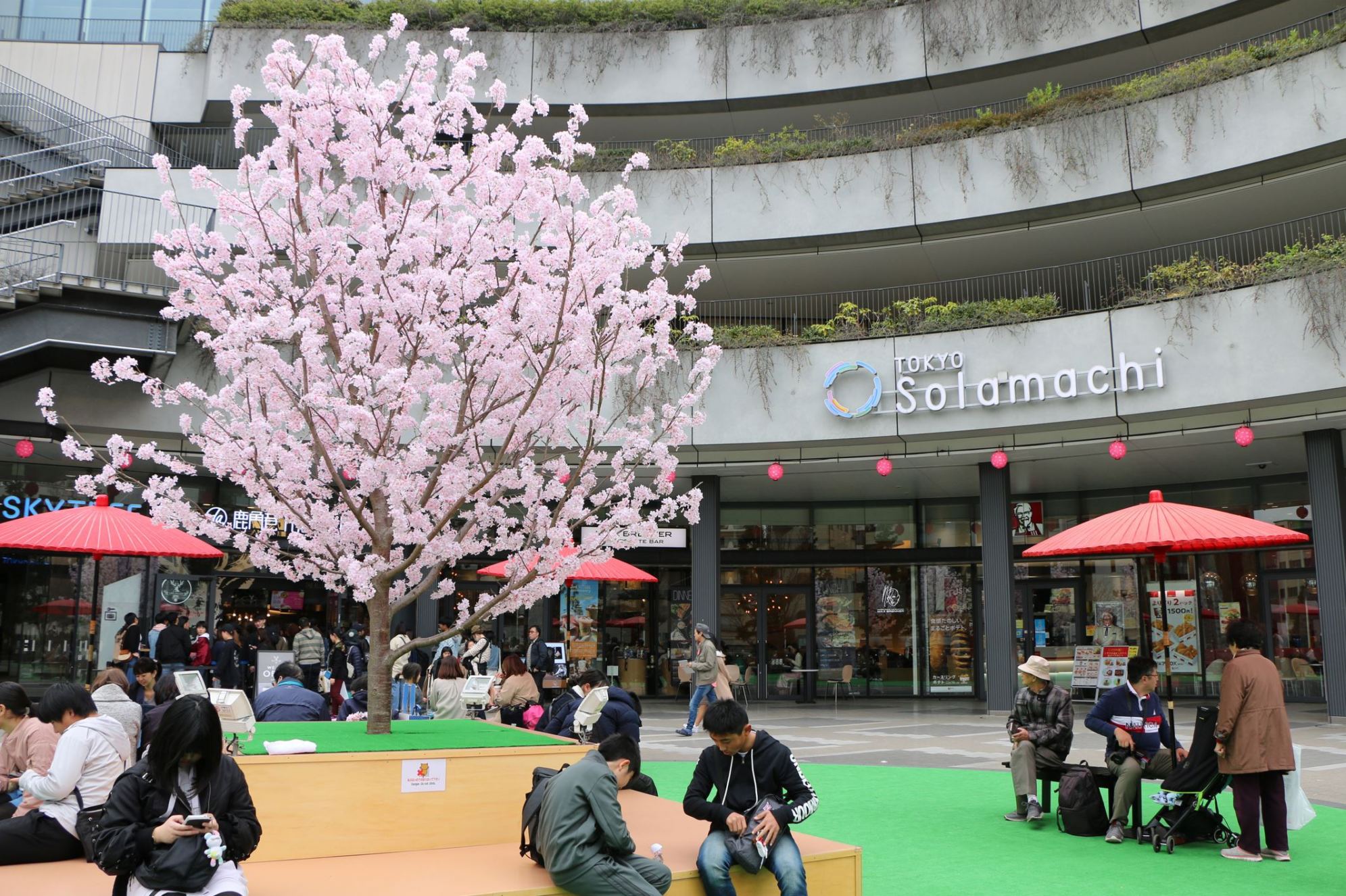 Tokyo Solamachi Spring Event